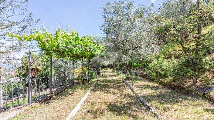 Image No.24-7 Bed Country House for sale