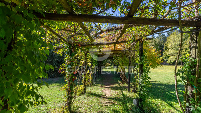 Image No.14-11 Bed Country House for sale