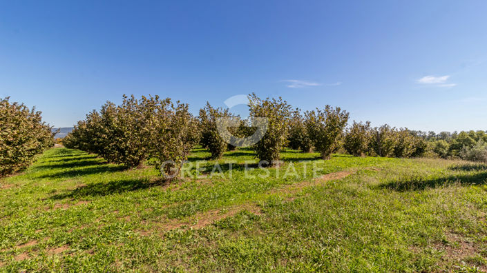 Image No.20-11 Bed Country House for sale