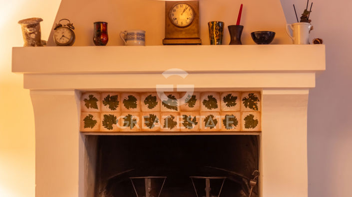 Image No.46-11 Bed Country House for sale