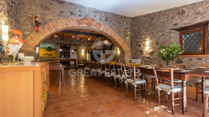 Image No.48-11 Bed Country House for sale