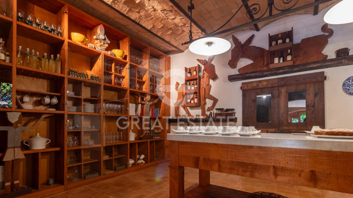 Image No.52-11 Bed Country House for sale