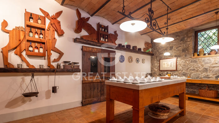 Image No.54-11 Bed Country House for sale