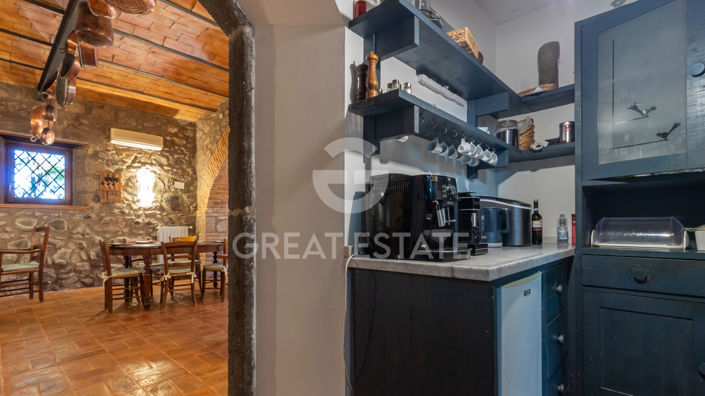 Image No.55-11 Bed Country House for sale