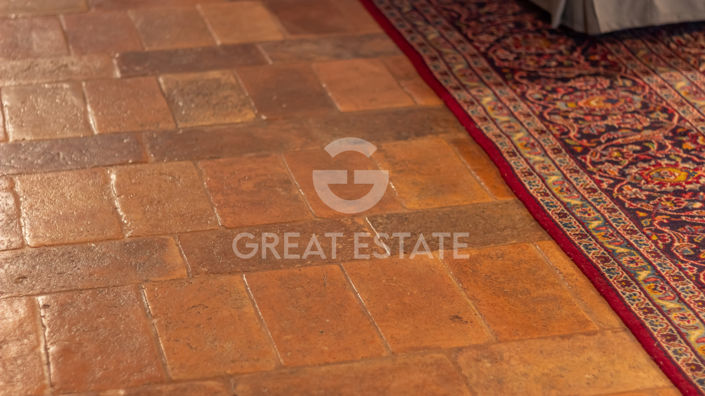 Image No.60-11 Bed Country House for sale