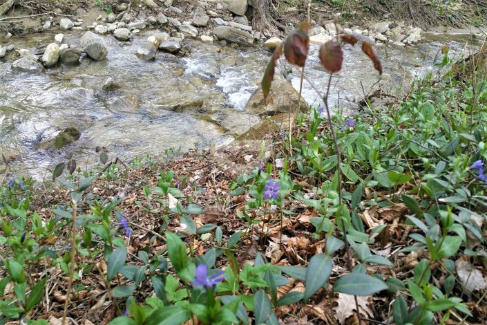 Image No.38-8 Bed Country House for sale