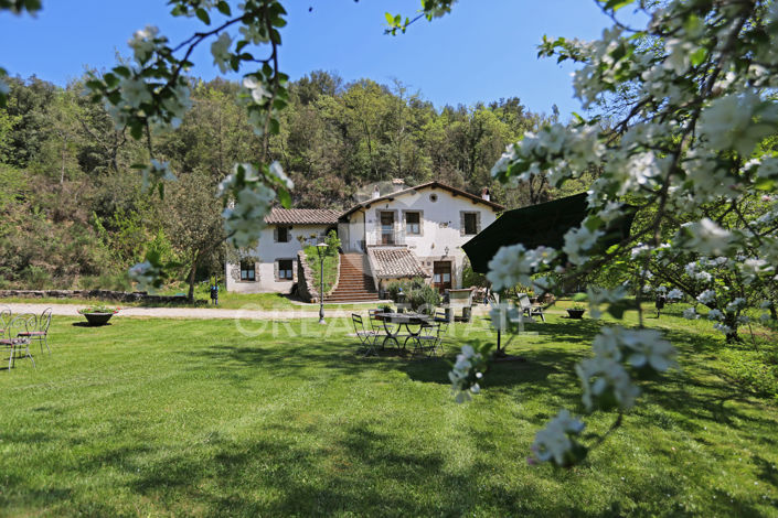 Image No.9-8 Bed Country House for sale