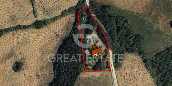 Image No.2-floorplan-2