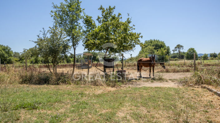 Image No.9-3 Bed Country House for sale