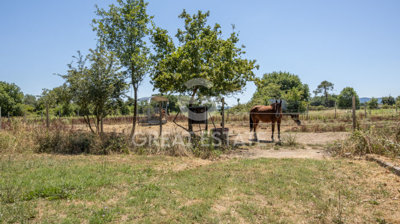 Photo_9