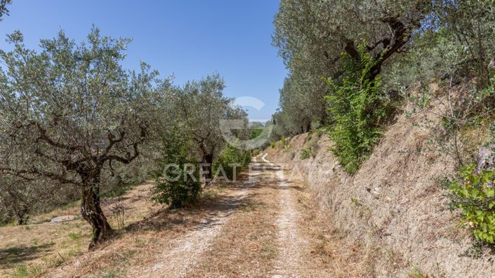 Image No.14-4 Bed Country House for sale