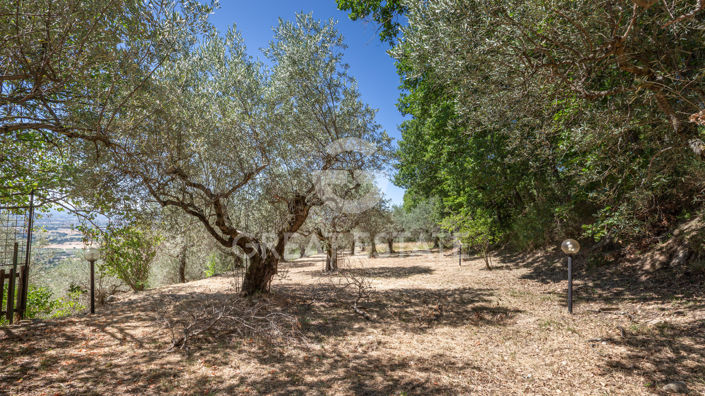 Image No.15-4 Bed Country House for sale