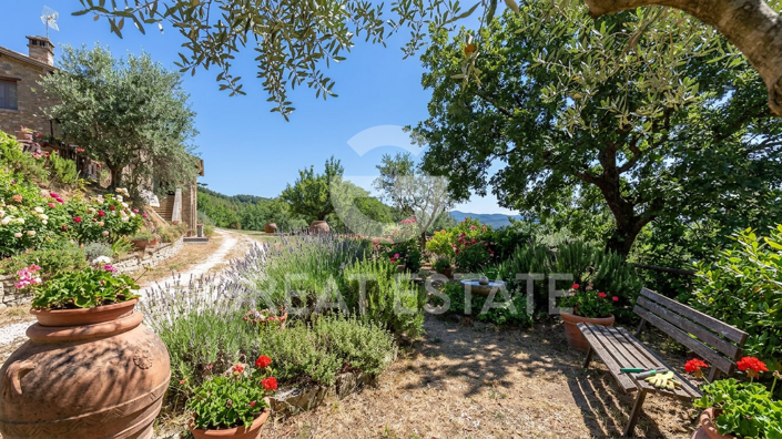 Image No.4-Maison de campagne de 4 chambres à vendre à Assisi