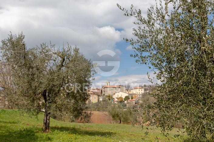 Image No.46-12 Bed Country House for sale