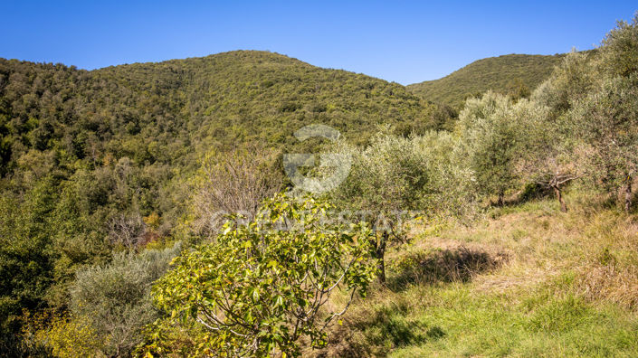 Image No.13-2 Bed Country House for sale