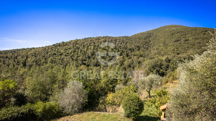 Image No.27-2 Bed Country House for sale