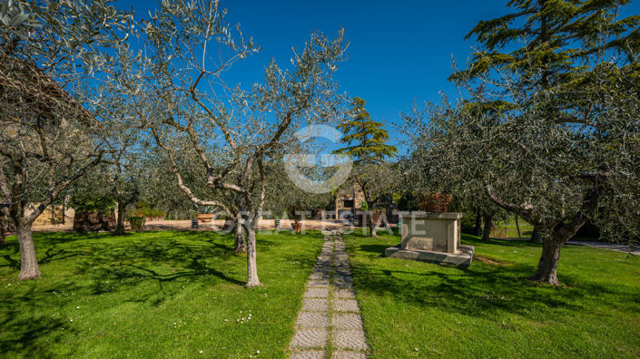 Image No.59-8 Bed Country House for sale