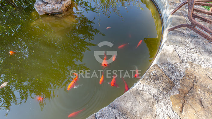 Image No.21-6 Bed Country House for sale