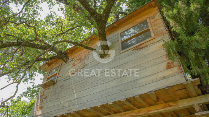 Image No.19-7 Bed Country House for sale