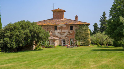 Photo_3