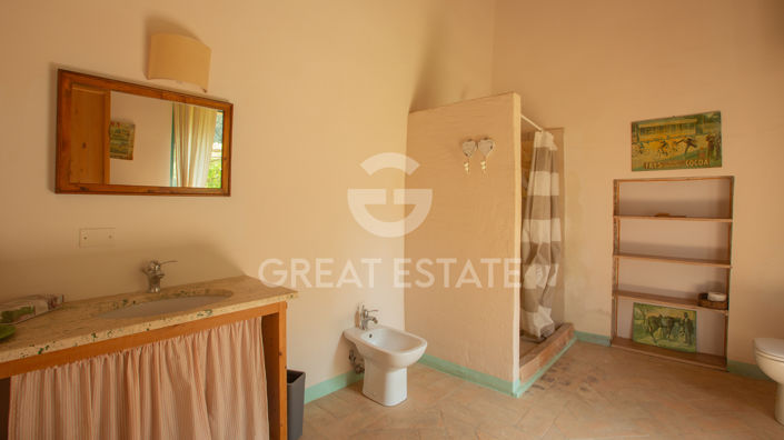 Image No.43-7 Bed Country House for sale