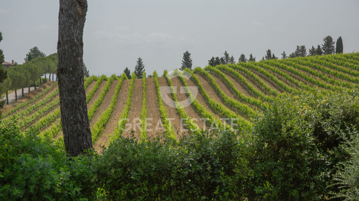 Image No.53-7 Bed Country House for sale