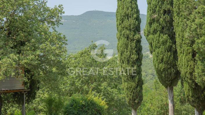 Image No.54-7 Bed Country House for sale