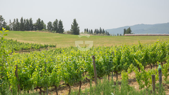 Image No.55-7 Bed Country House for sale