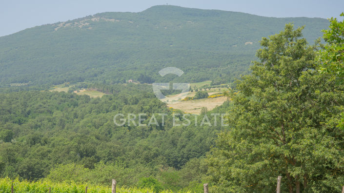 Image No.56-7 Bed Country House for sale