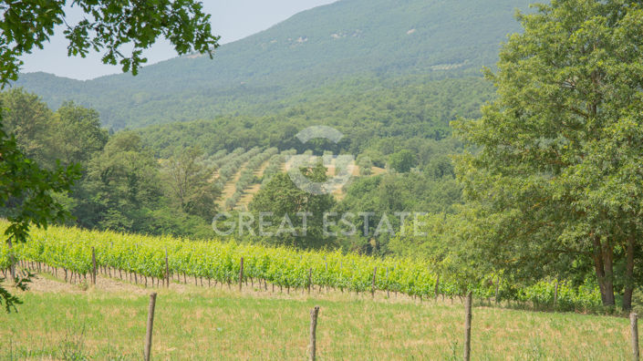 Image No.59-7 Bed Country House for sale