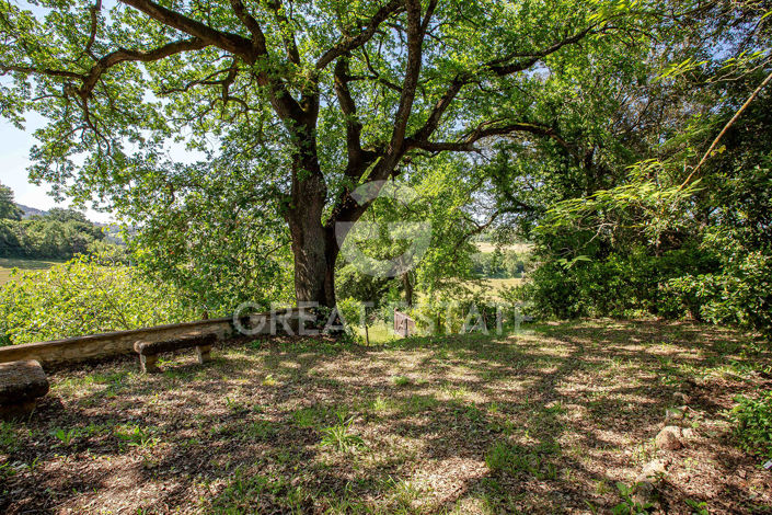 Image No.13-4 Bed Country House for sale