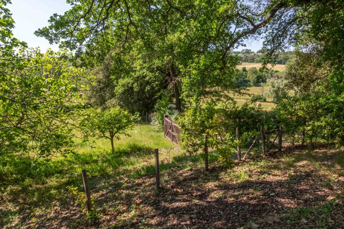 Image No.14-4 Bed Country House for sale