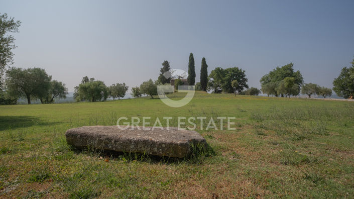 Image No.36-9 Bed Country House for sale