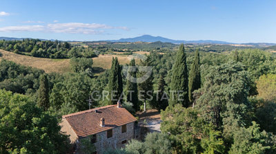 Maison de campagne de 4 chambres à vendre à Torrita di Siena