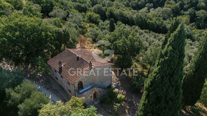 Image No.8-4 Bed Country House for sale