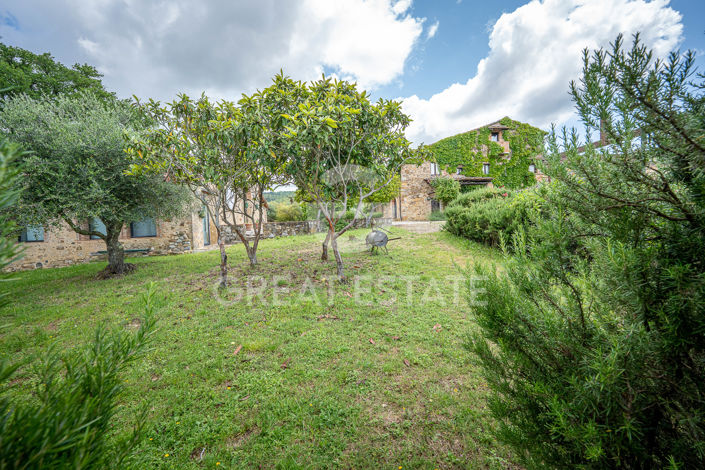 Image No.25-19 Bed Country House for sale