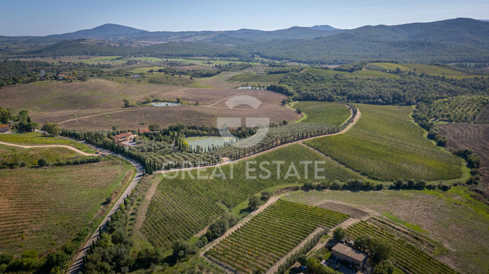 Image No.2-6 Bed Vineyard for sale