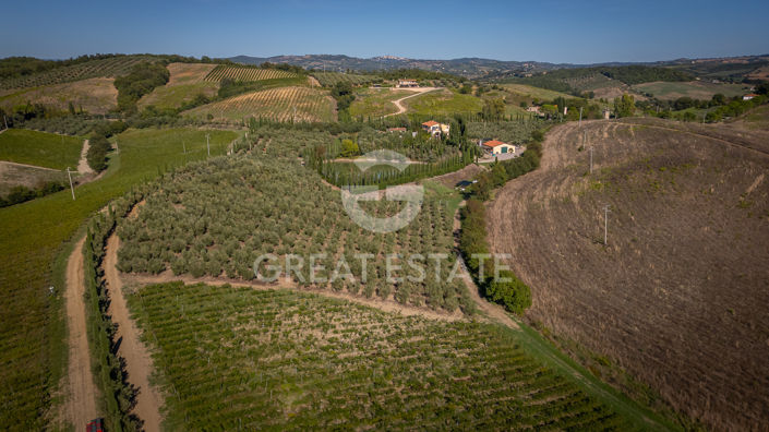 Image No.15-6 Bed Vineyard for sale