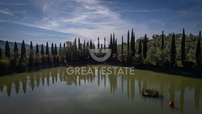 Image No.17-6 Bed Vineyard for sale