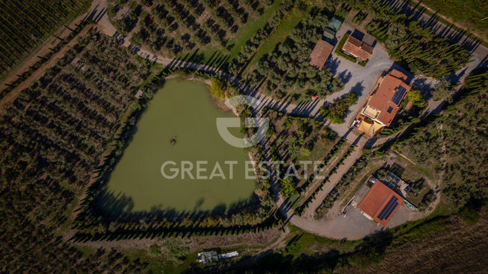 Image No.18-6 Bed Vineyard for sale