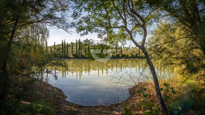 Image No.21-6 Bed Vineyard for sale