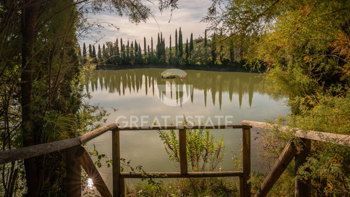 Image No.22-6 Bed Vineyard for sale