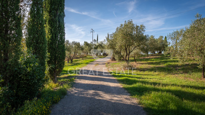 Image No.23-6 Bed Vineyard for sale