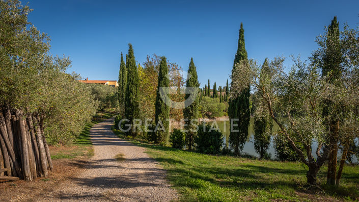 Image No.24-6 Bed Vineyard for sale