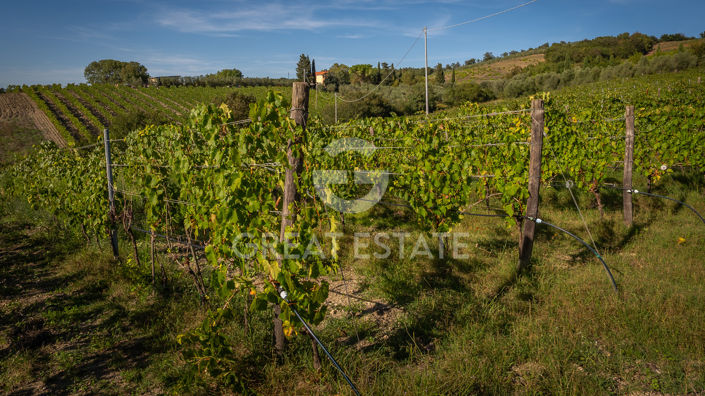 Image No.26-6 Bed Vineyard for sale