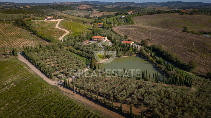 Image No.4-6 Bed Vineyard for sale