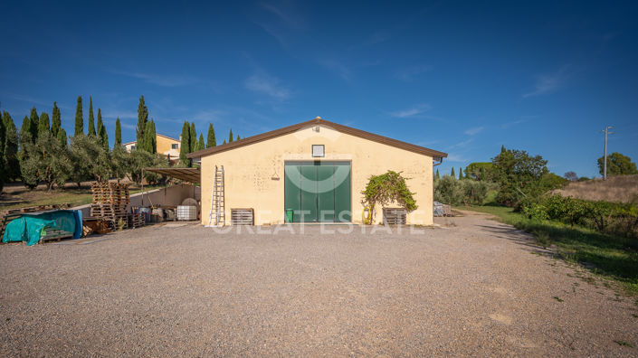 Image No.38-6 Bed Vineyard for sale