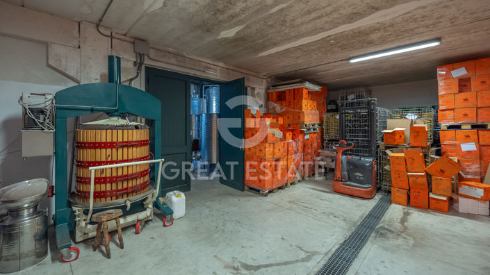 Image No.39-6 Bed Vineyard for sale