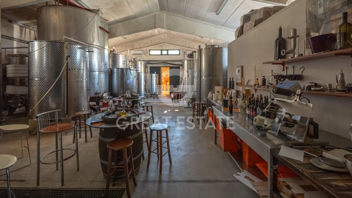 Image No.40-6 Bed Vineyard for sale