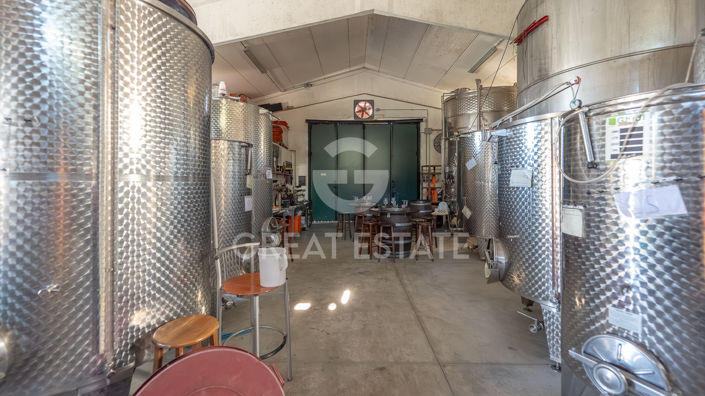 Image No.41-6 Bed Vineyard for sale